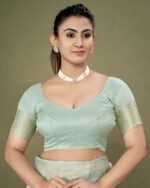 Embellished Design Tassels and Latkans Organza Saree - Image 5